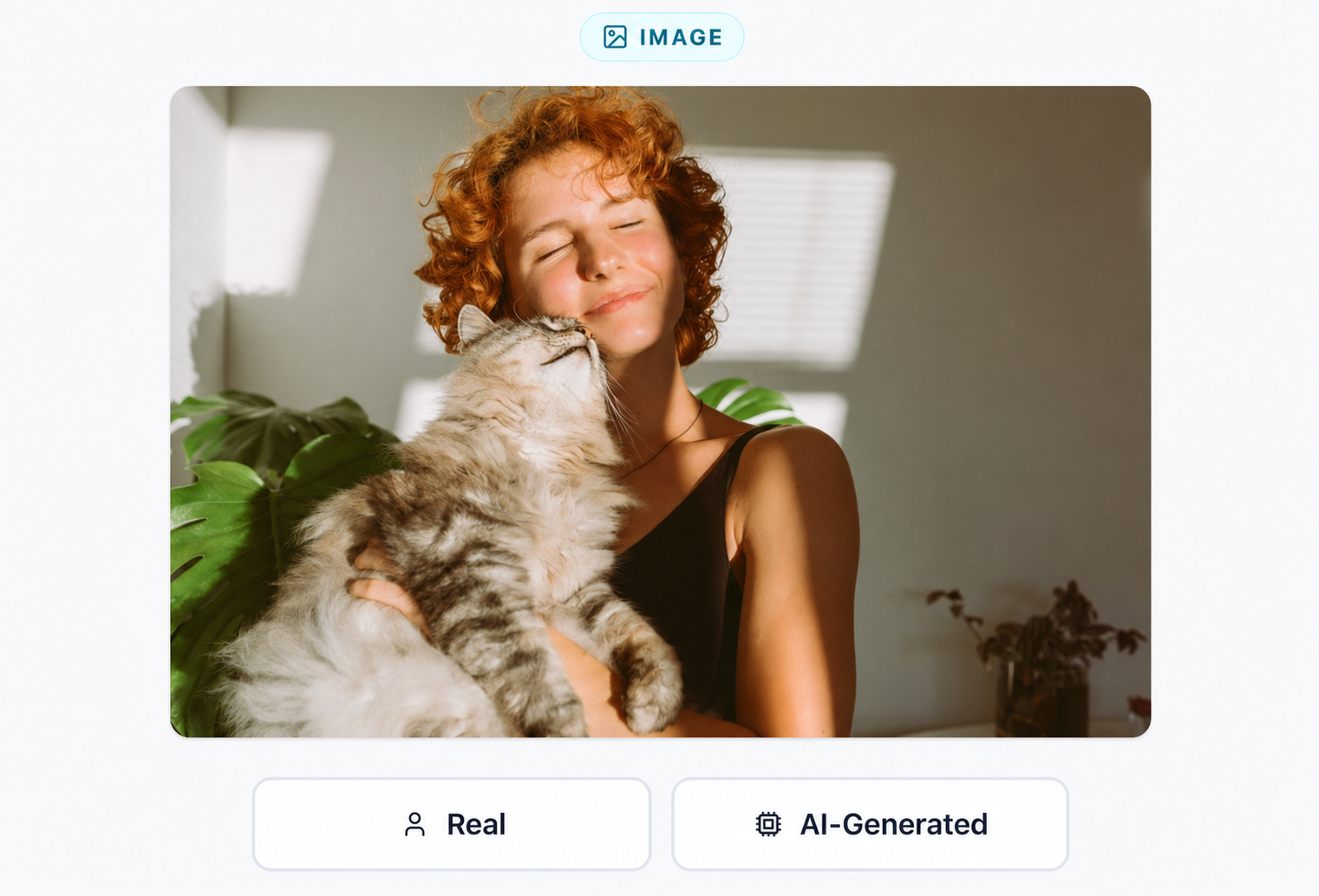 Screenshot of the Real or AI challenge: a photograph of a person hugging a cat, with two buttons below to choose between Real or AI-Generated